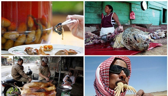 The most extreme food you can eat on this planet The most extreme food you can eat on this planet