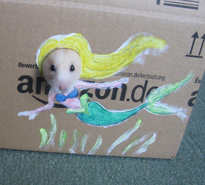 The most fashionable hamster in the world