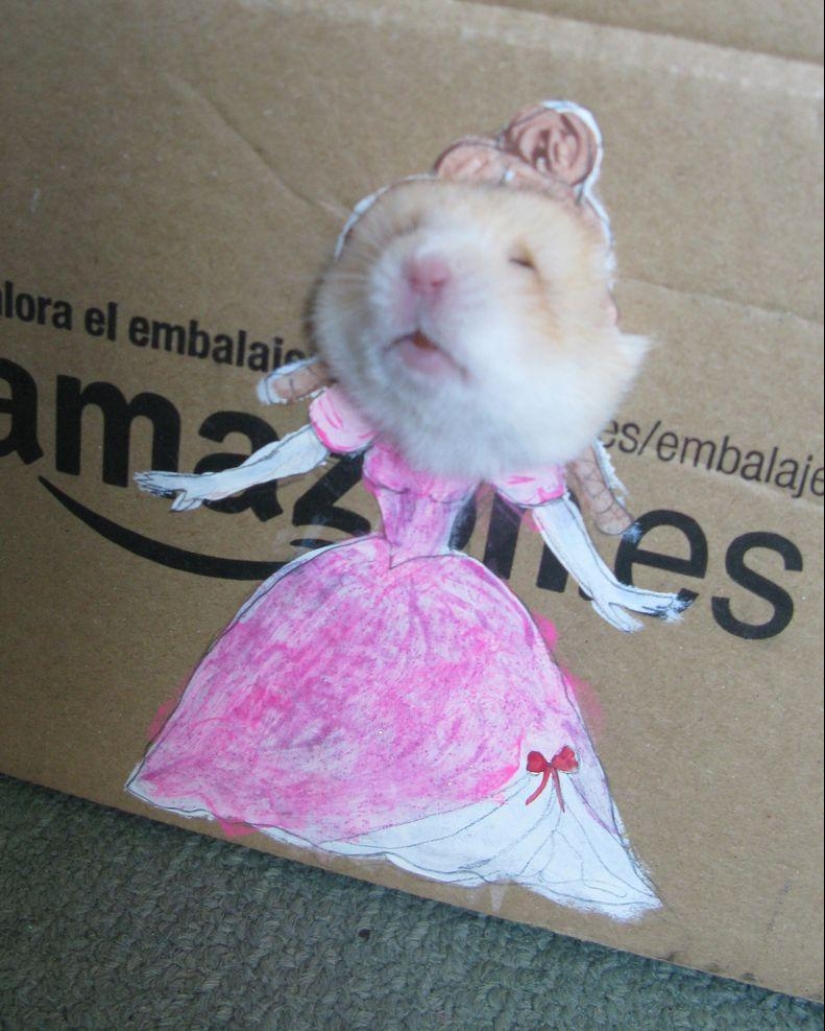 The most fashionable hamster in the world