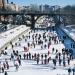The most impressive ice rinks in the world The most impressive ice rinks in the world