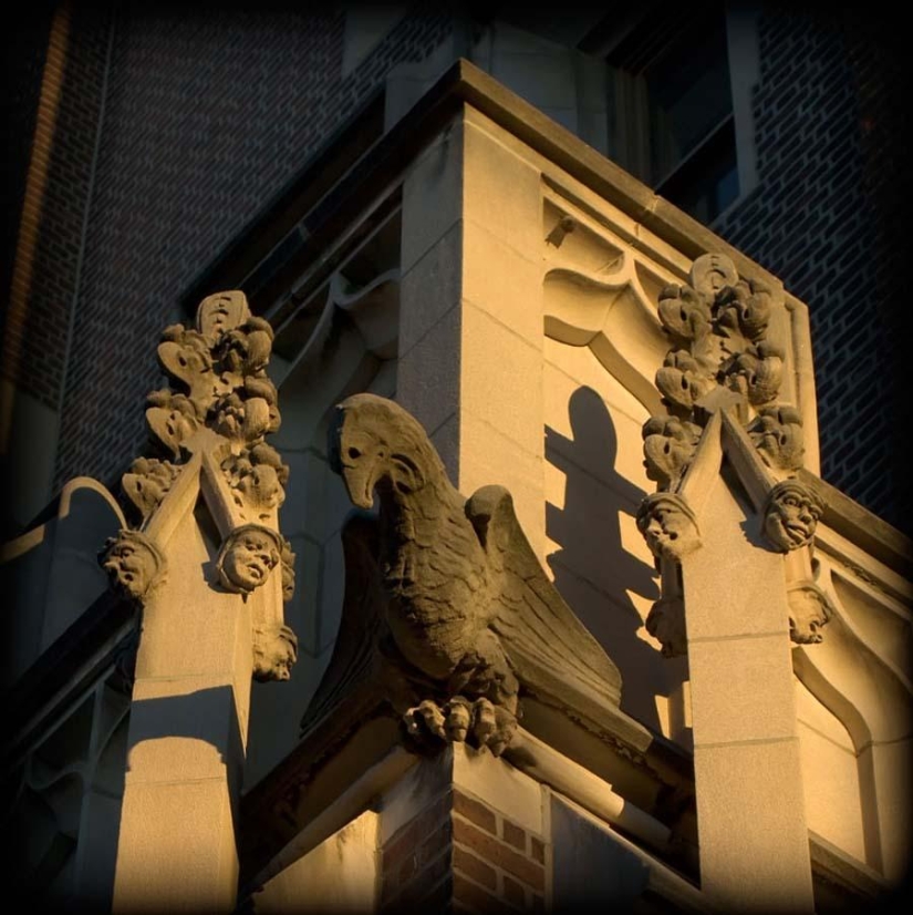 The most outstanding gargoyles in the world