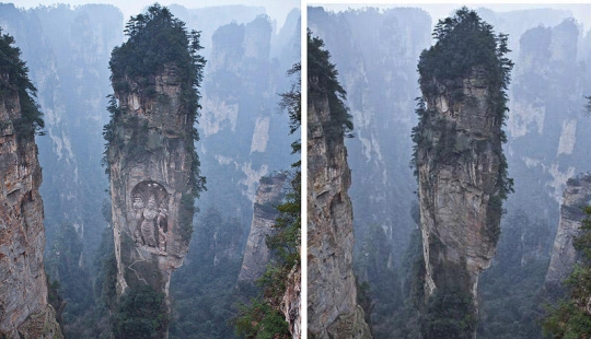 The most popular photo "ducks" walking around the Internet - Part 2 The most popular photo "ducks" walking around the Internet - Part 2