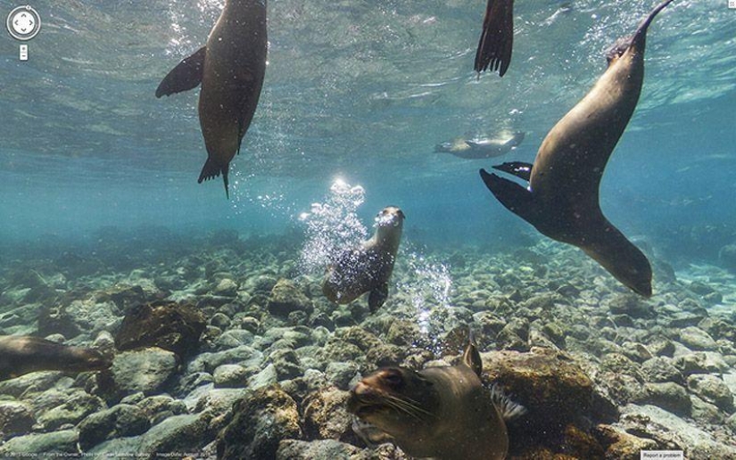 The most remote and amazing places Google Street View