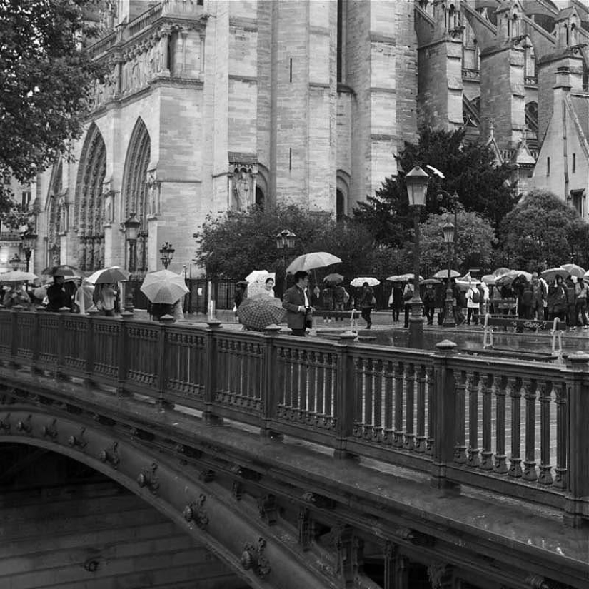 The most romantic umbrellas in Paris