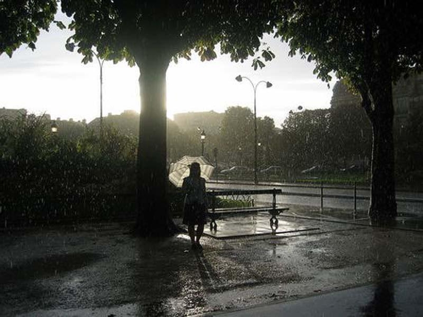 The most romantic umbrellas in Paris