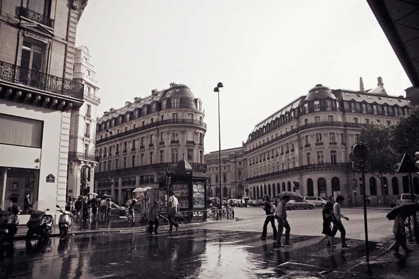 The most romantic umbrellas in Paris