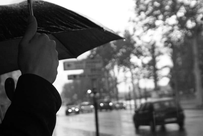 The most romantic umbrellas in Paris