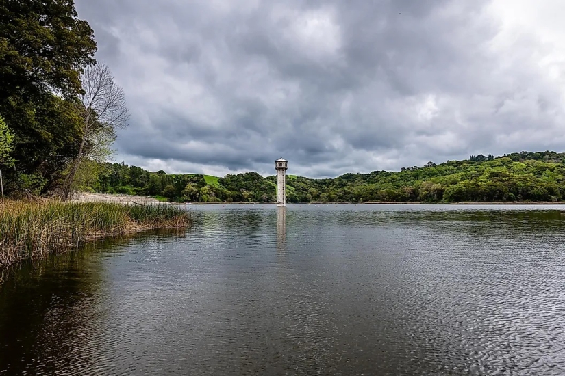 The Most Snake Infested Lakes In California