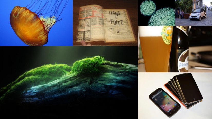 The most tenacious and long-playing The most tenacious and long-playing