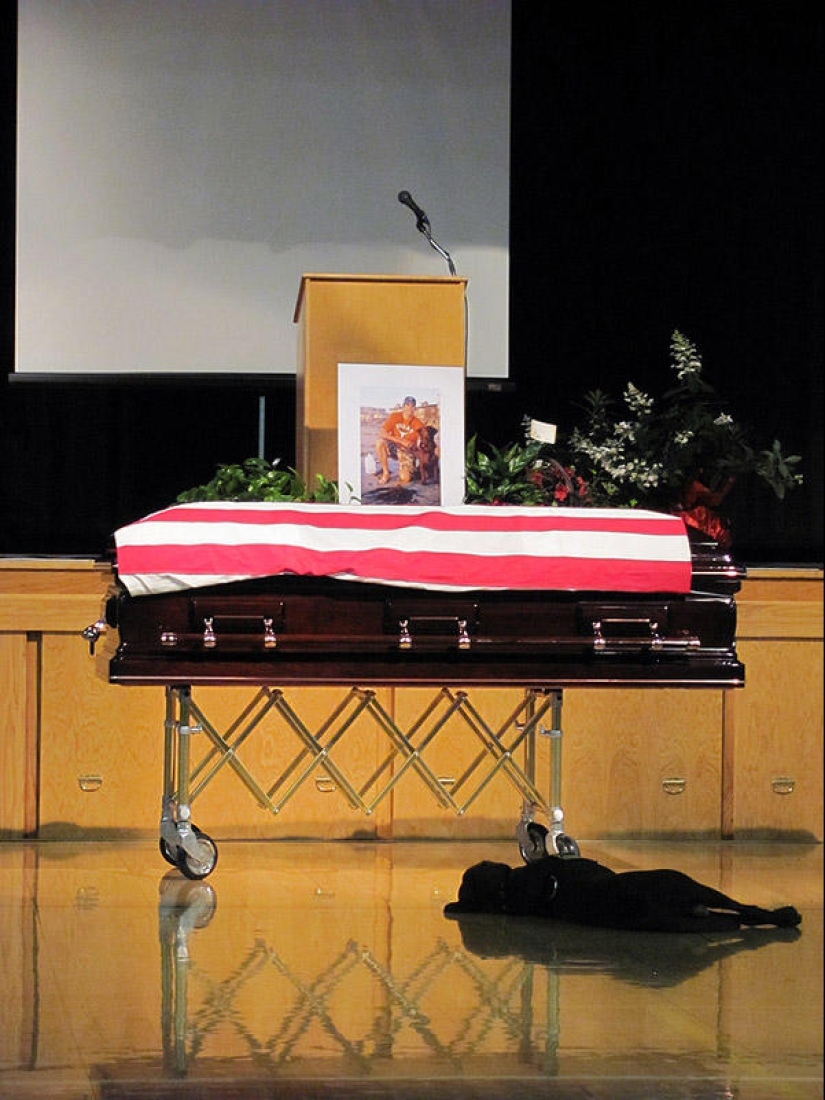 The most touching photos The most touching photos