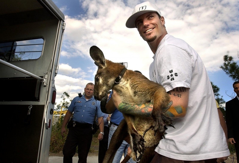 The most unusual celebrity pets