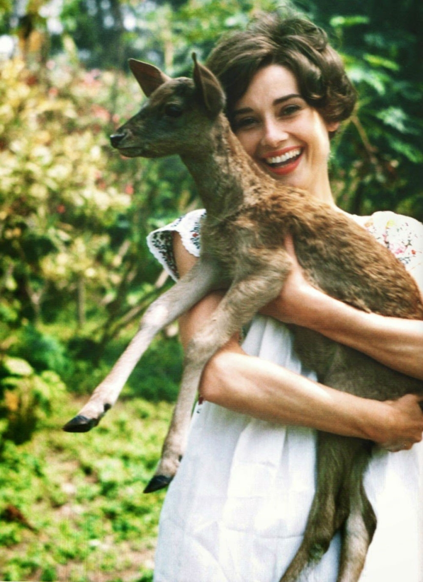 The most unusual celebrity pets
