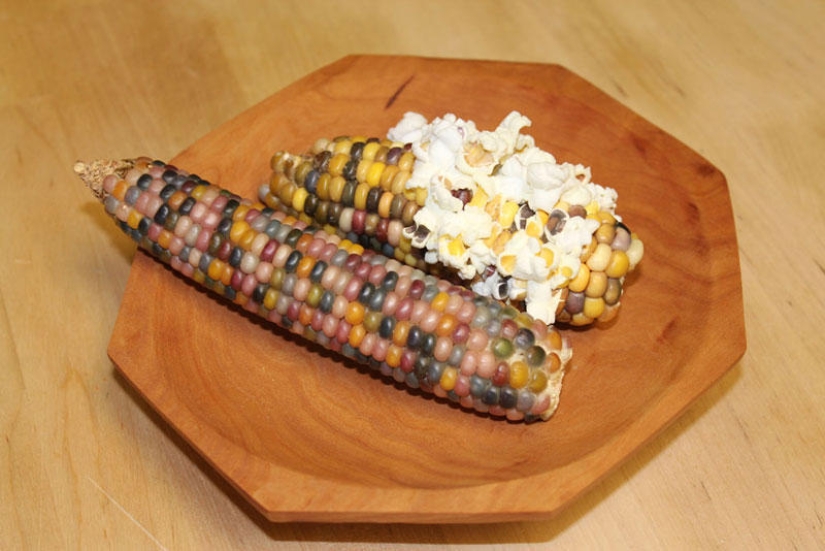 The most unusual corn in the world