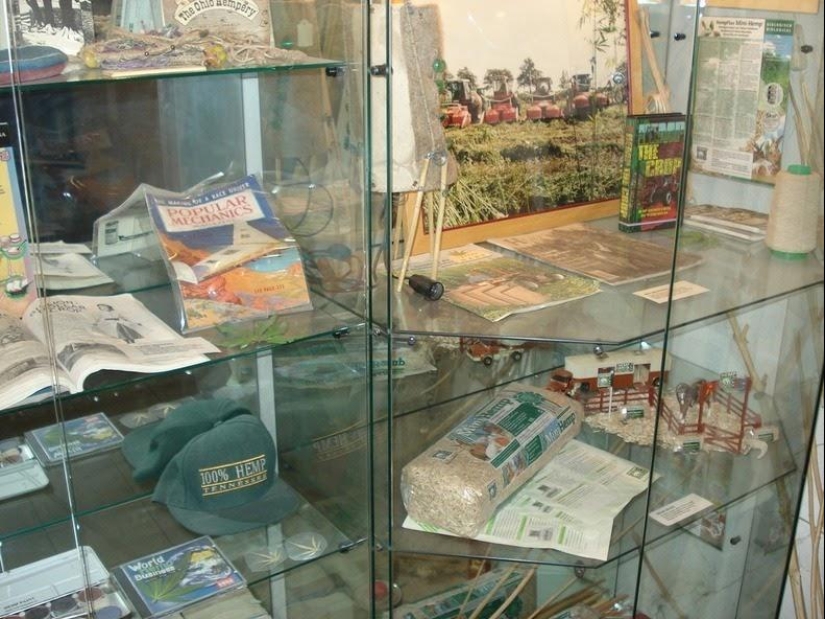 The most unusual museums in Amsterdam The most unusual museums in Amsterdam