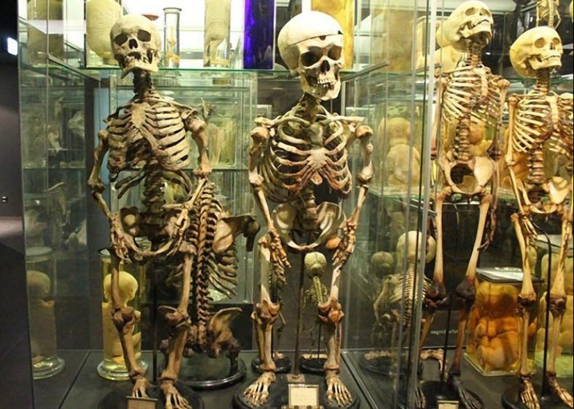 The most unusual museums in Amsterdam The most unusual museums in Amsterdam