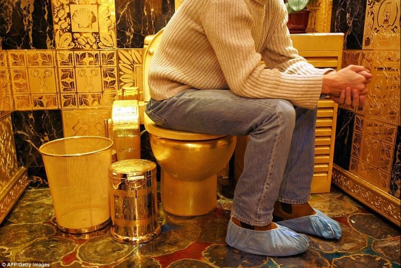 The most unusual toilets in the world