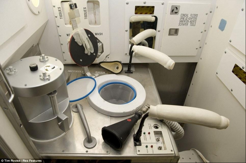 The most unusual toilets in the world