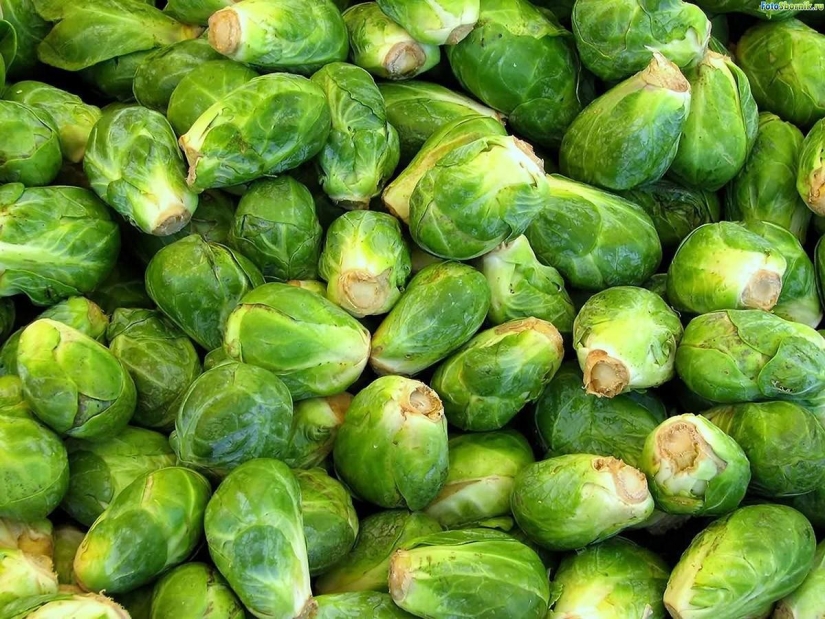 The most useful foods for the body