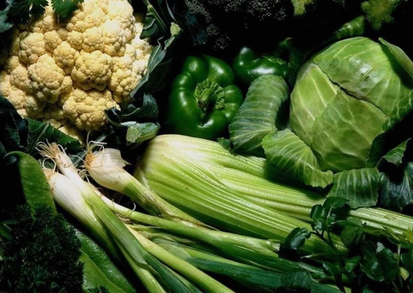The most useful foods for the body