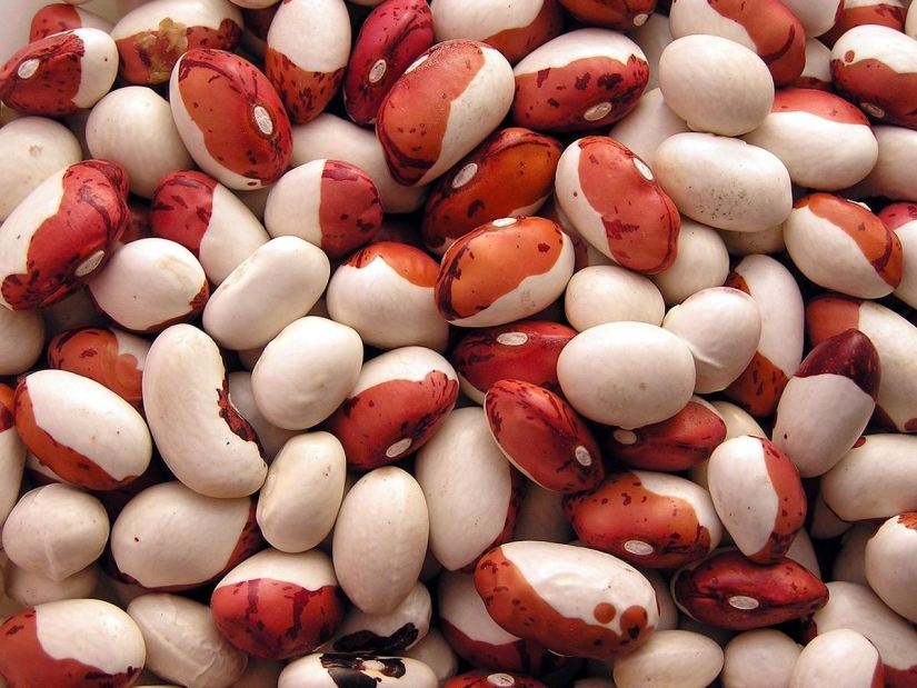 The most useful foods for the body