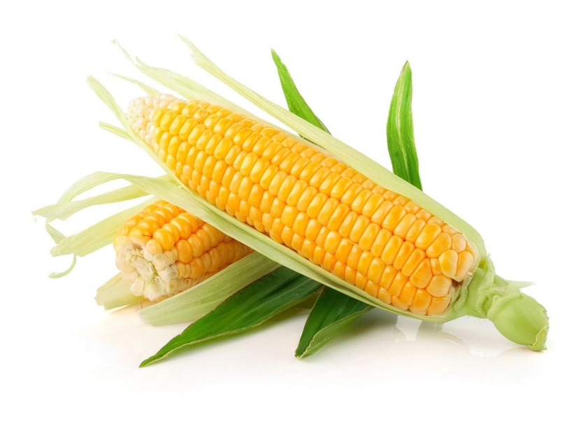 The most useful foods for the body