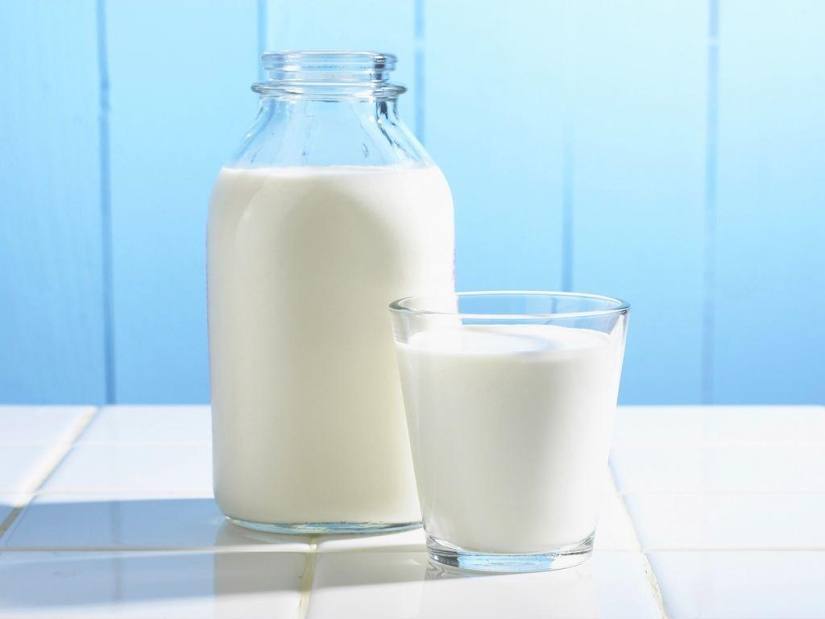 The most useful foods for the body