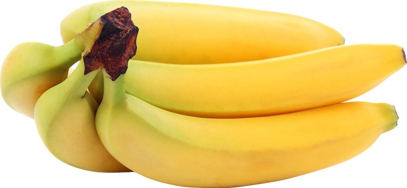 The most useful foods for the body