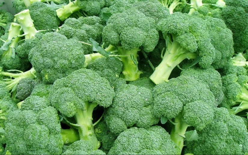 The most useful foods for the body
