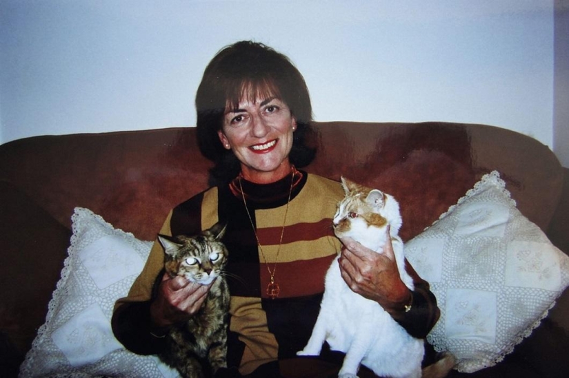 The oldest cat in the world got into the Guinness Book of Records The oldest cat in the world got into the Guinness Book of Records