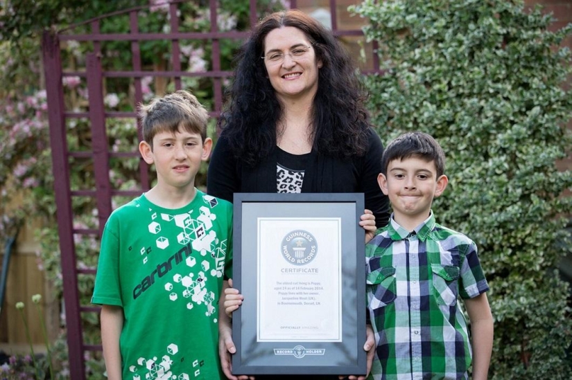 The oldest cat in the world got into the Guinness Book of Records The oldest cat in the world got into the Guinness Book of Records