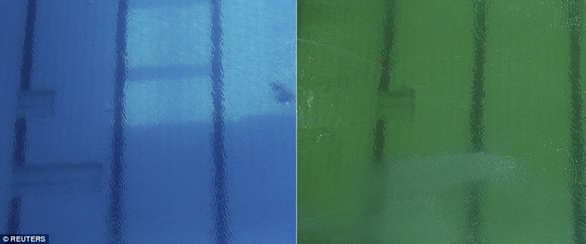 The pool at the Rio Olympics suddenly turned green, and no one admits The pool at the Rio Olympics suddenly turned green, and no one admits