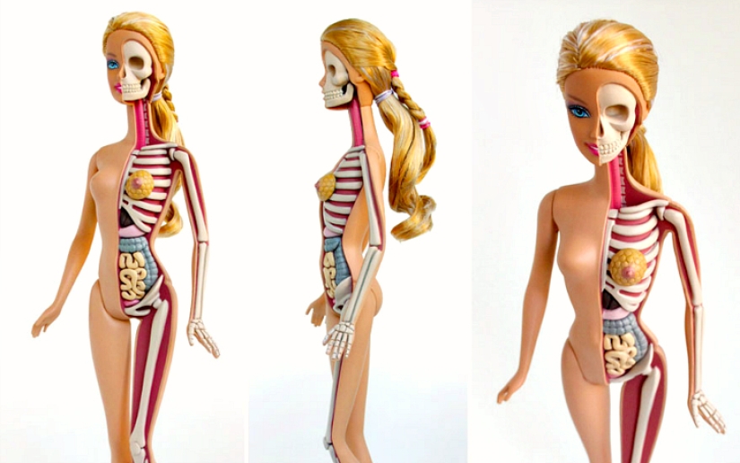 The rich inner world of your toys The rich inner world of your toys