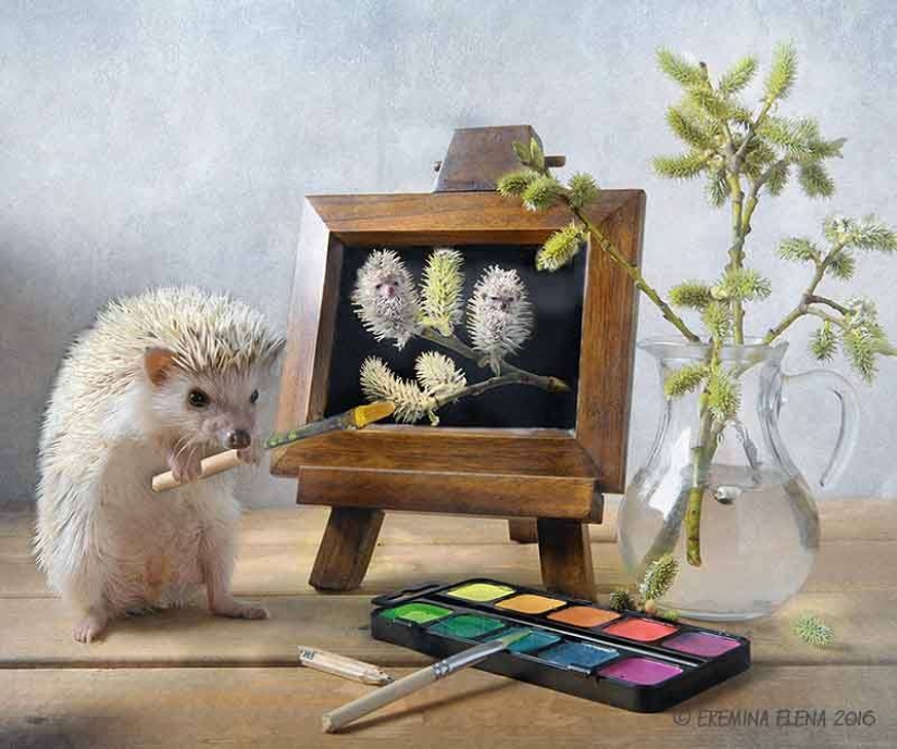 The secret life of hedgehogs in the lens of Elena Eremina