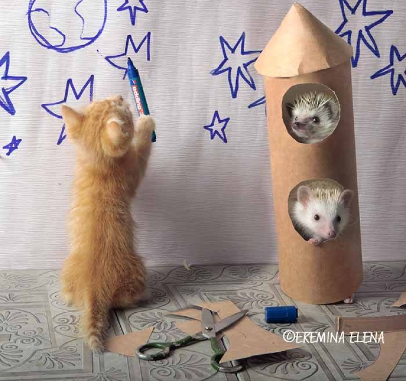 The secret life of hedgehogs in the lens of Elena Eremina