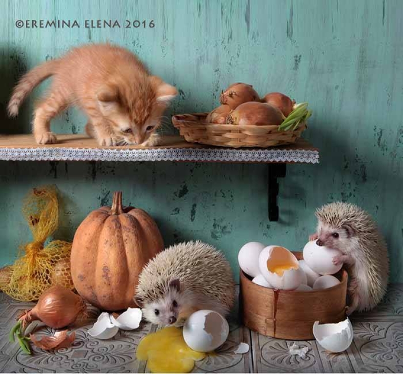 The secret life of hedgehogs in the lens of Elena Eremina