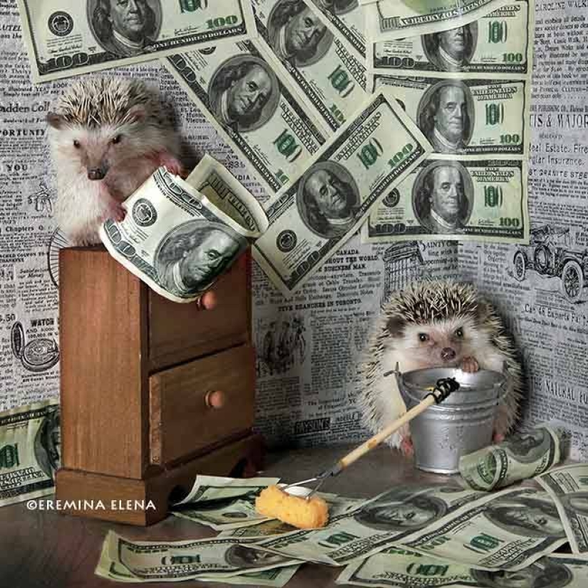 The secret life of hedgehogs in the lens of Elena Eremina