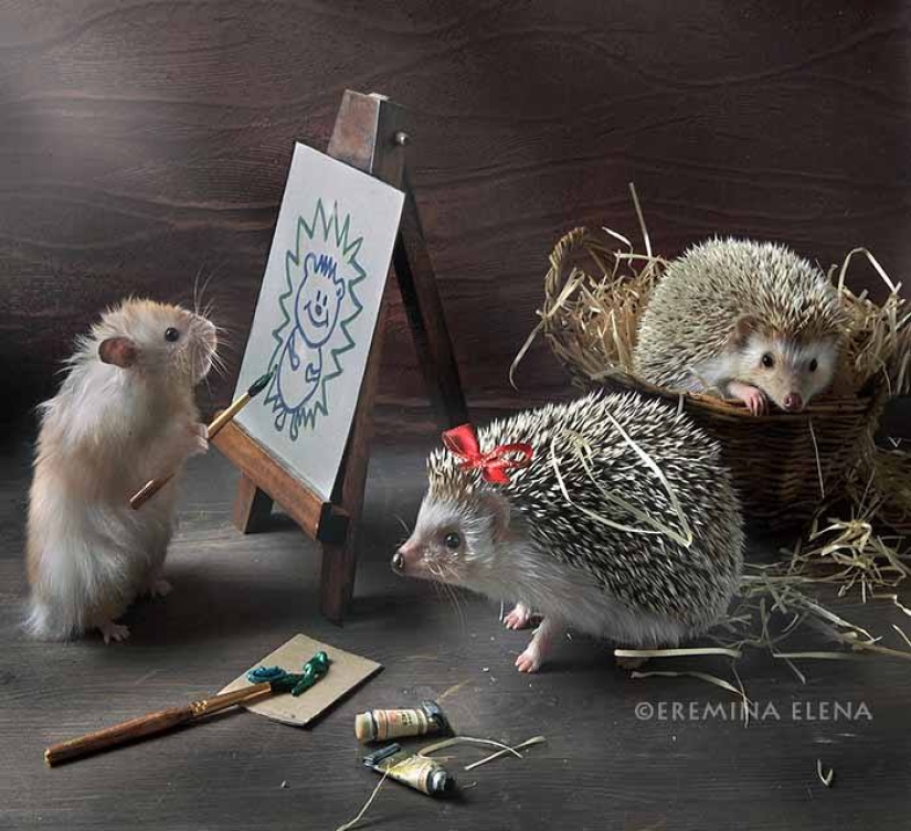 The secret life of hedgehogs in the lens of Elena Eremina