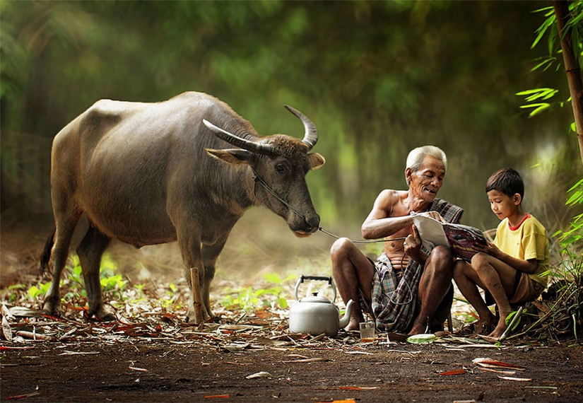 The simple life of an Indonesian village photographed by Herman Damar
