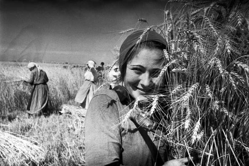 The Soviet era in iconic photographs by Markov-Grinberg The Soviet era in iconic photographs by Markov-Grinberg