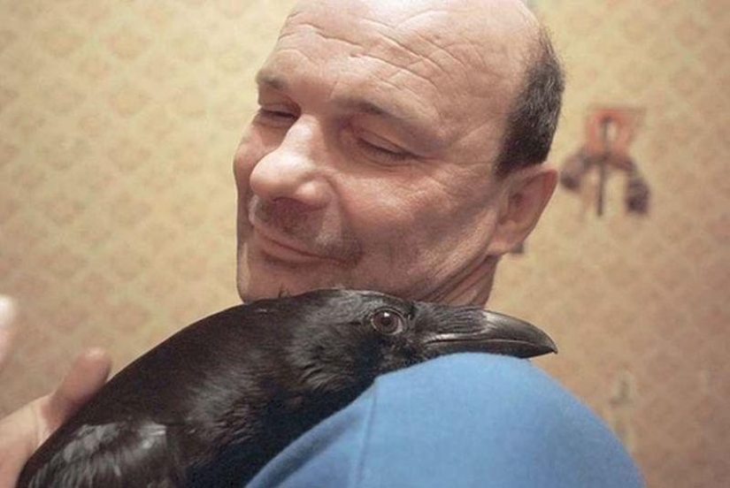 The story of friendship between Alexei and the raven Zhora