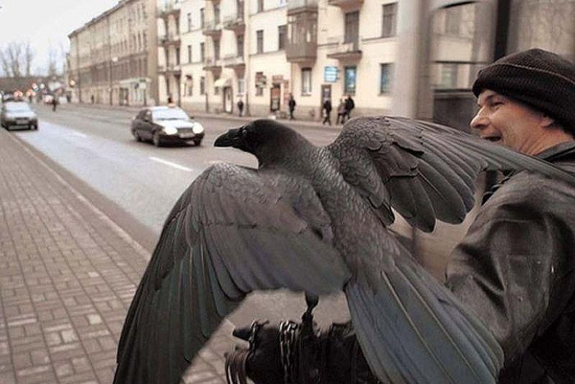 The story of friendship between Alexei and the raven Zhora
