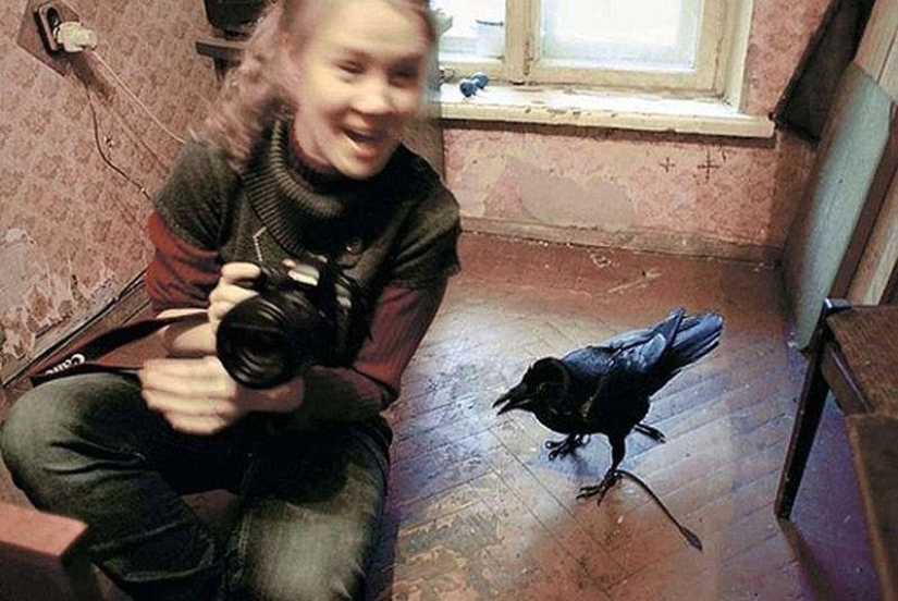 The story of friendship between Alexei and the raven Zhora