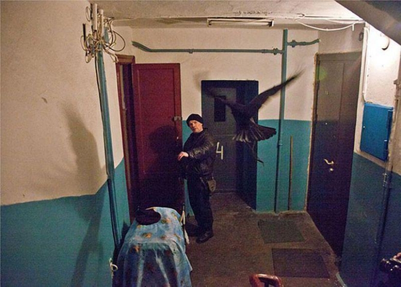The story of friendship between Alexei and the raven Zhora