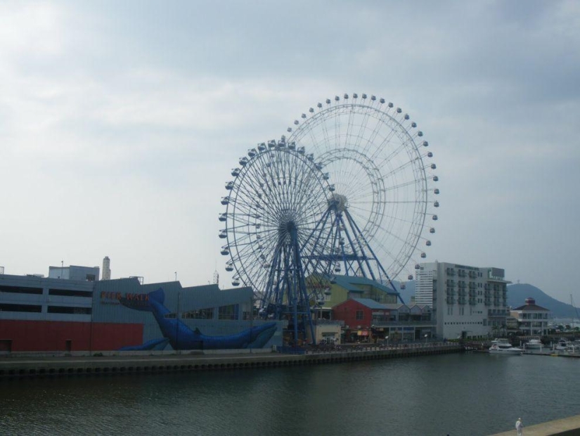 The tallest ferris wheels in the world The tallest ferris wheels in the world