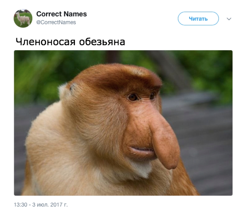 The Twitter account gave the "right" names to familiar things