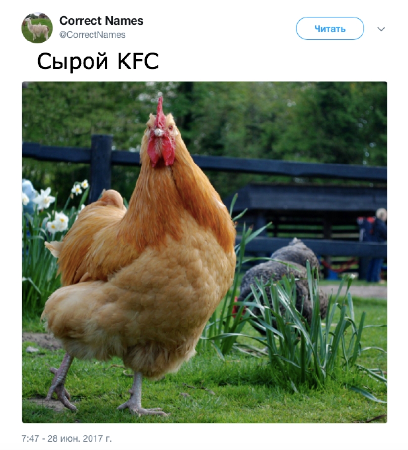 The Twitter account gave the "right" names to familiar things