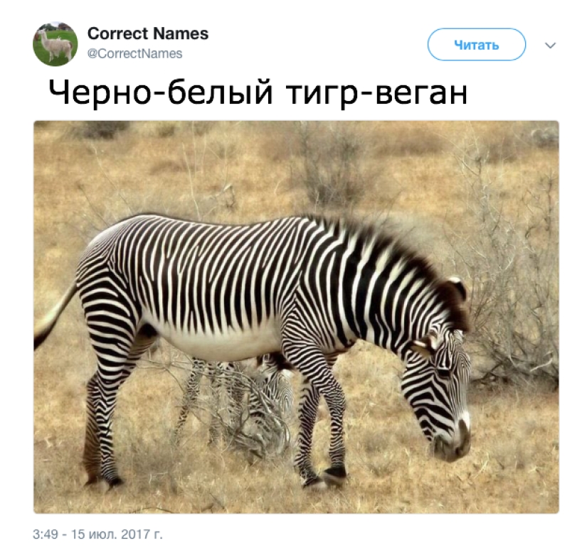 The Twitter account gave the "right" names to familiar things