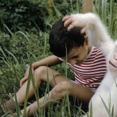 The vagaries of nature: albino animals