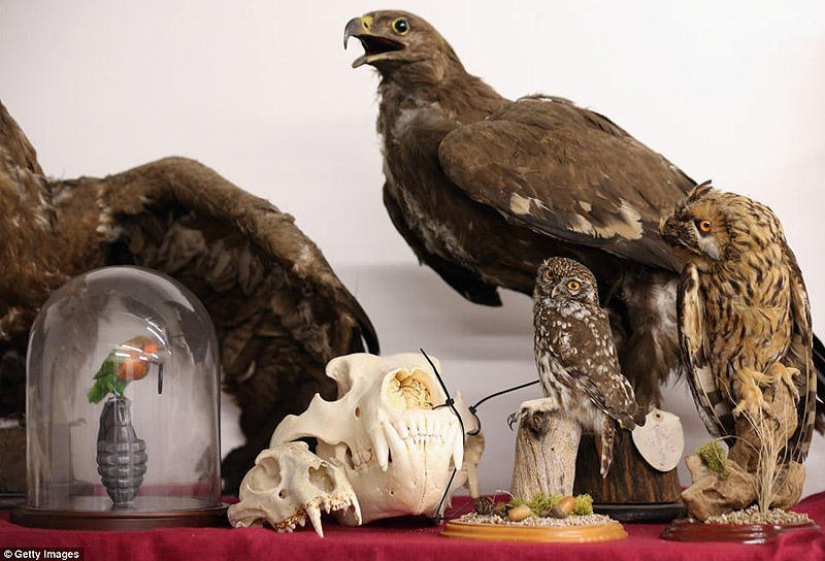 The wealth and variety of confiscated contraband at London Airport