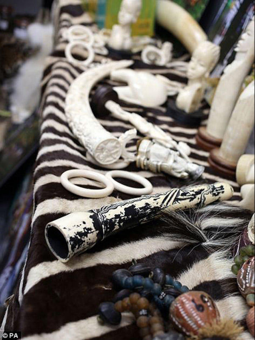 The wealth and variety of confiscated contraband at London Airport